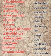 เพื่อชีวิต - ฮิตติดดิน VCD875-2web